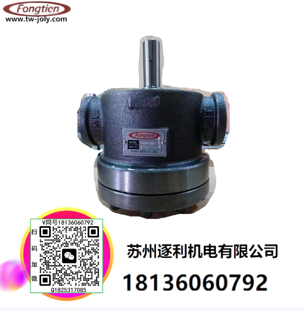 FONGTIEN葉片泵DVS-6V液壓油泵DS-14P臺(tái)灣磨床閥3K-25