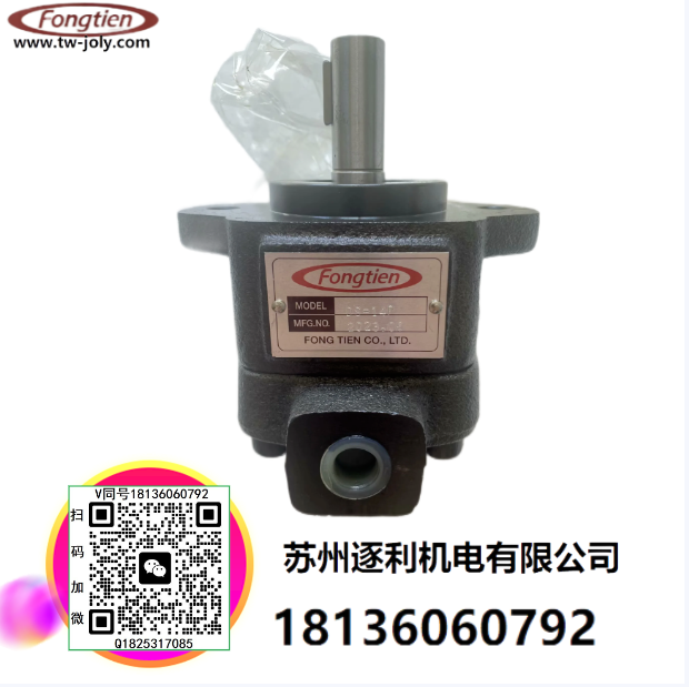 FONGTIEN豐田DS-14P葉片泵DS-13P豊田DS-12FR DS-11P DS-13FR