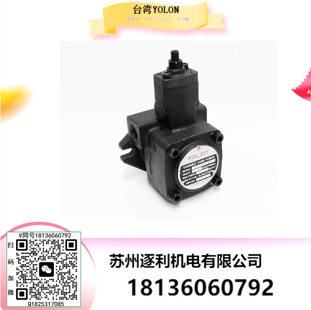 YOLON變量葉片齒輪高壓雙聯(lián)油泵配件大全電機(jī)床小型VP1520